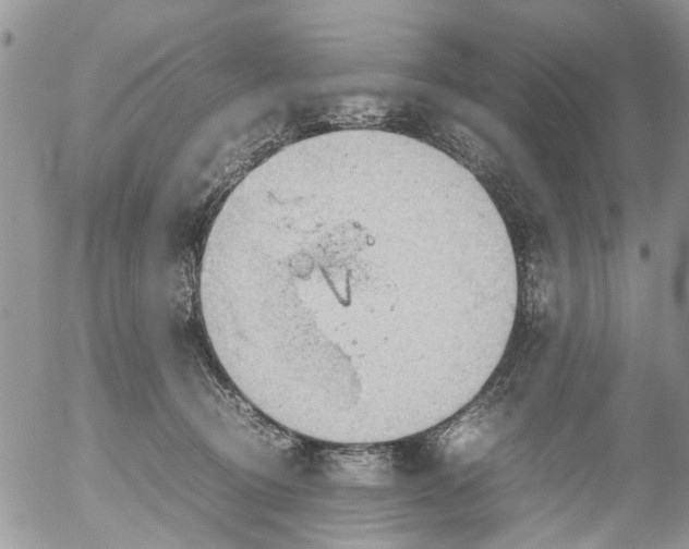 X0000053150370200508012316