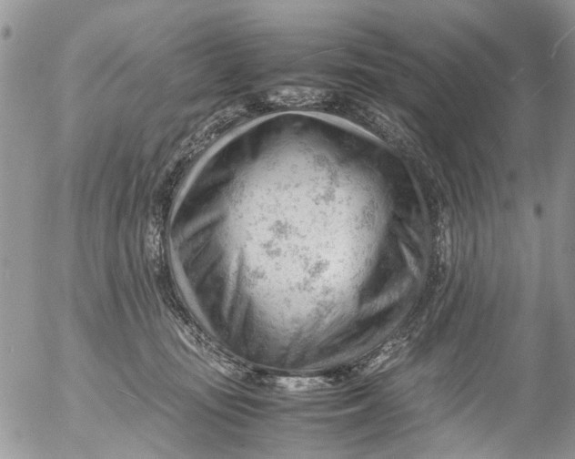 X0000053150371200508012316