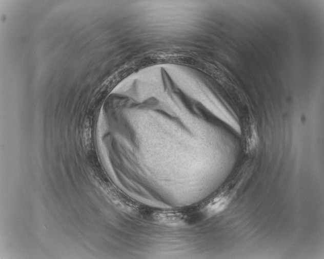 X0000053150372200508012316