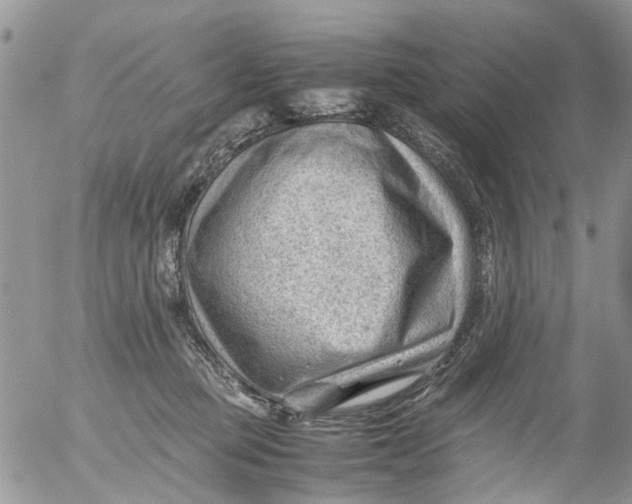 X0000053150373200508012316