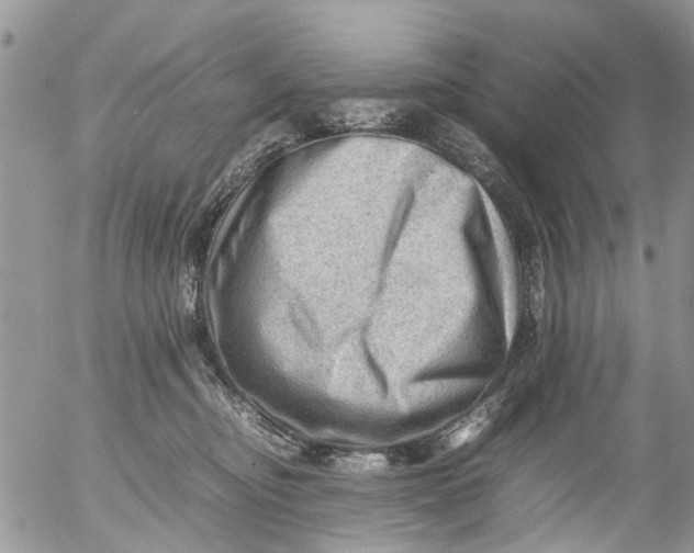 X0000053150374200508012316