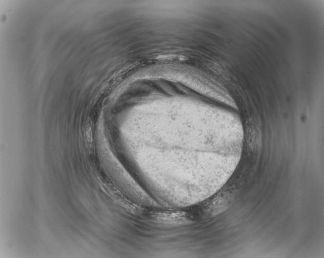 X0000053150375200508012316