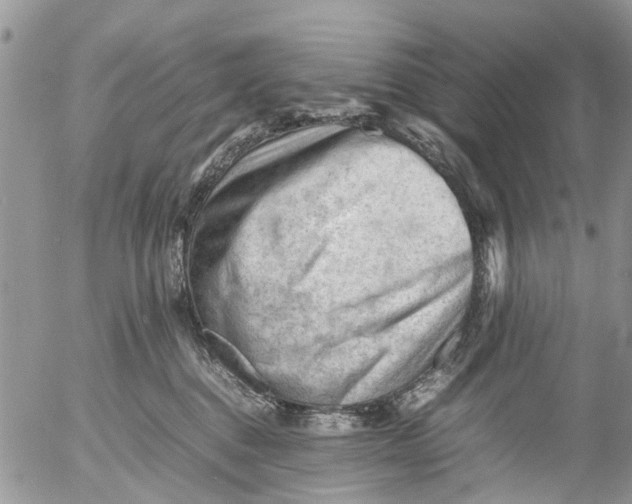 X0000053150376200508012316