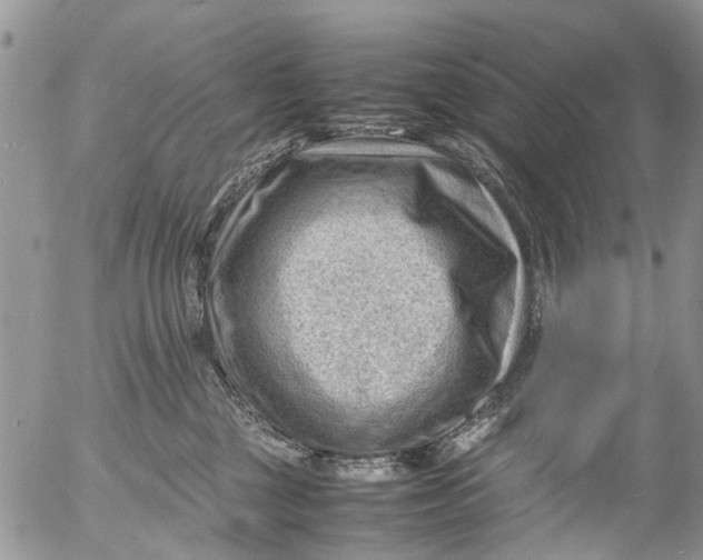 X0000053150377200508012316