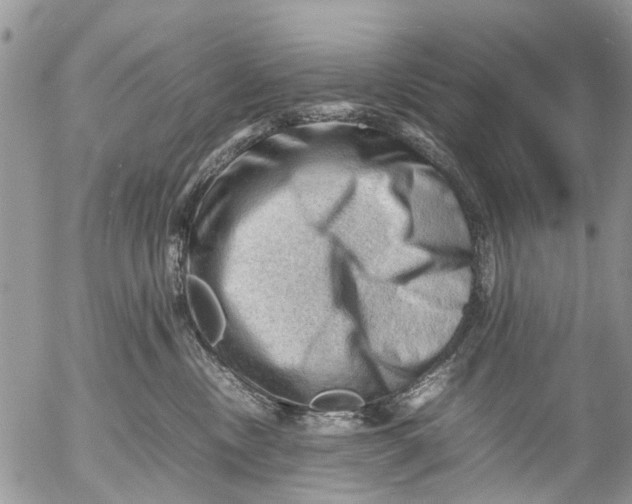 X0000053150378200508012316