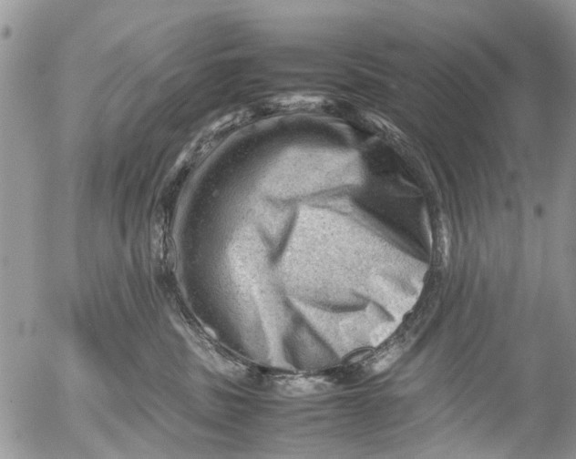 X0000053150379200508012316