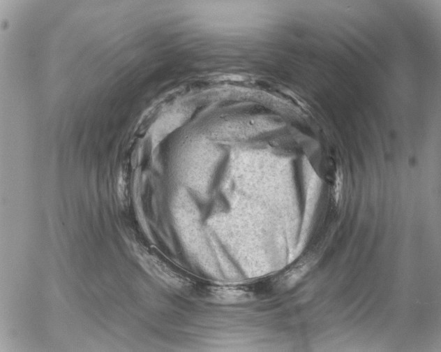 X0000053150380200508012316