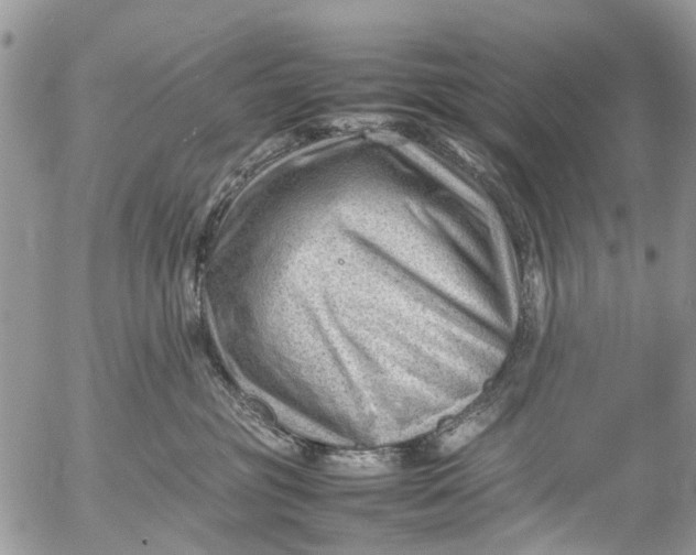 X0000053150381200508012316