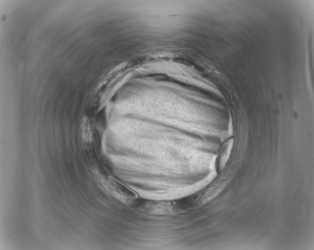 X0000053150384200508012316