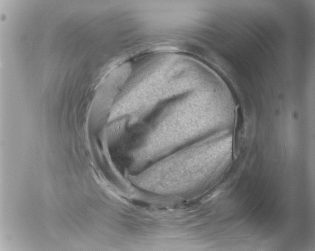 X0000053150385200508012315