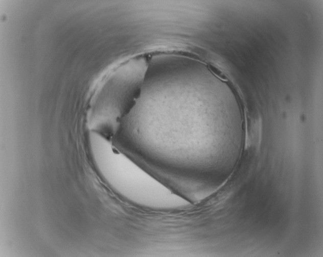 X0000053150387200508012315