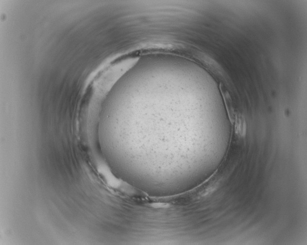 X0000053150388200508012315