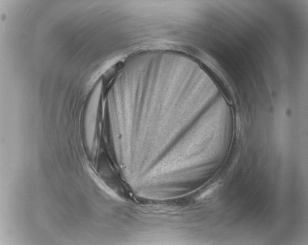 X0000053150389200508012315