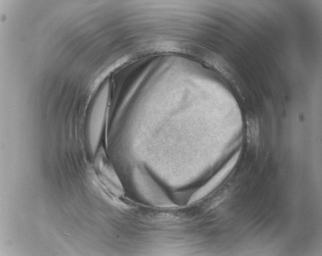 X0000053150390200508012315