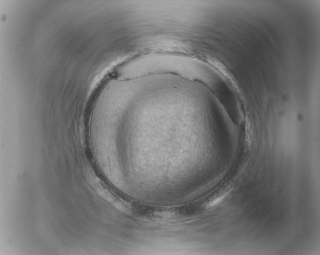 X0000053150391200508012315