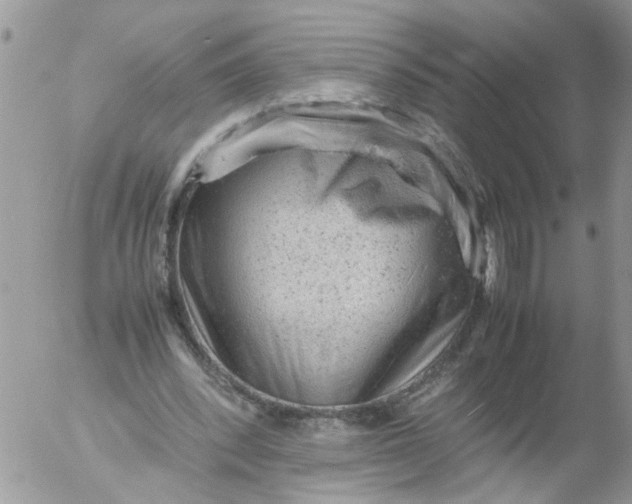 X0000053150392200508012315