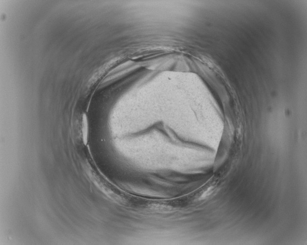 X0000053150393200508012315