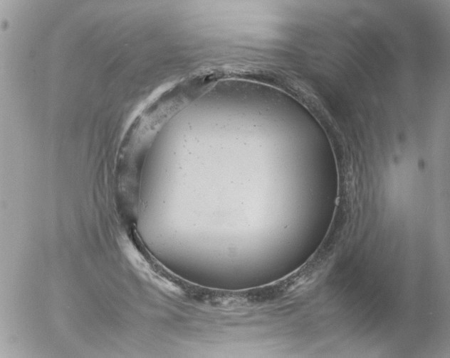 X0000053150395200508012315