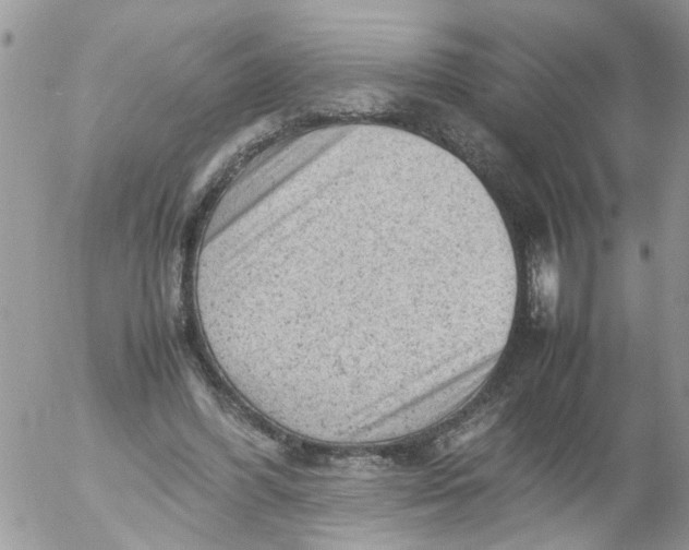 X0000053150396200508012315