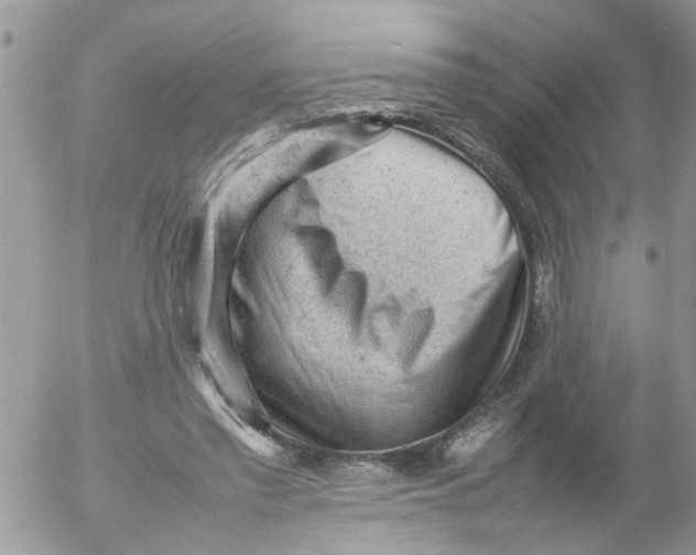 X0000053150397200508012315