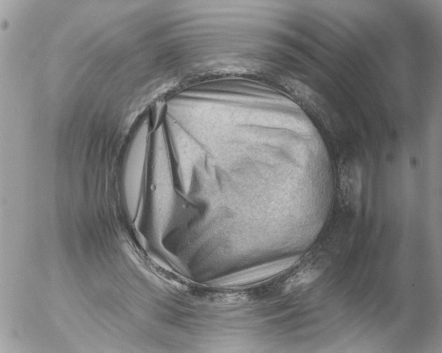 X0000053150398200508012315