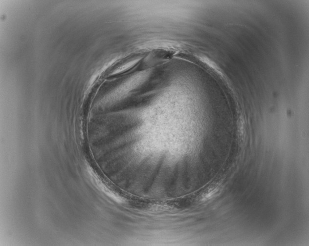 X0000053150399200508012315