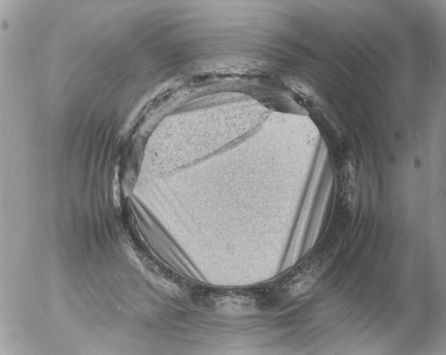 X0000053150400200508012315