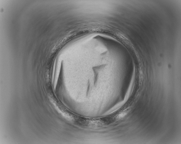 X0000053150401200508012315