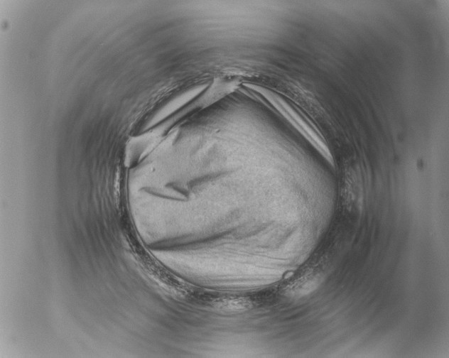 X0000053150402200508012315