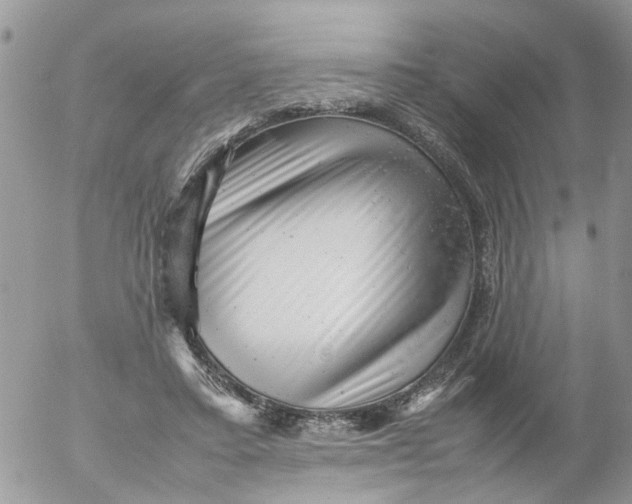 X0000053150403200508012315