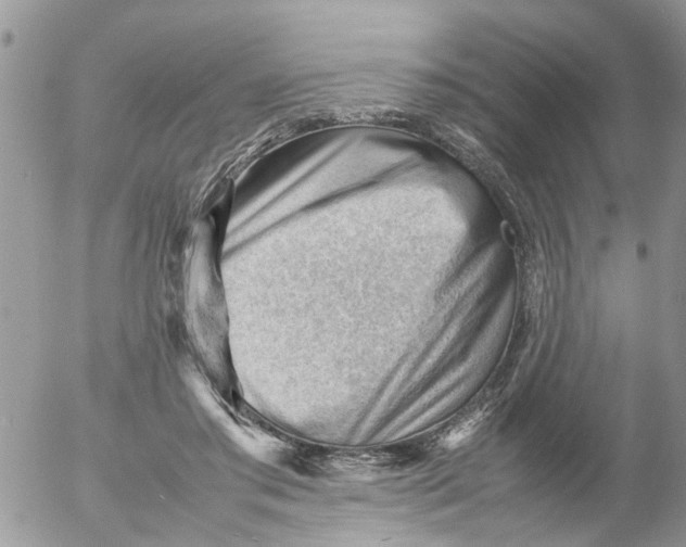 X0000053150405200508012315