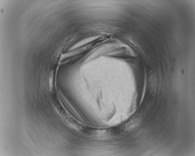 X0000053150406200508012315