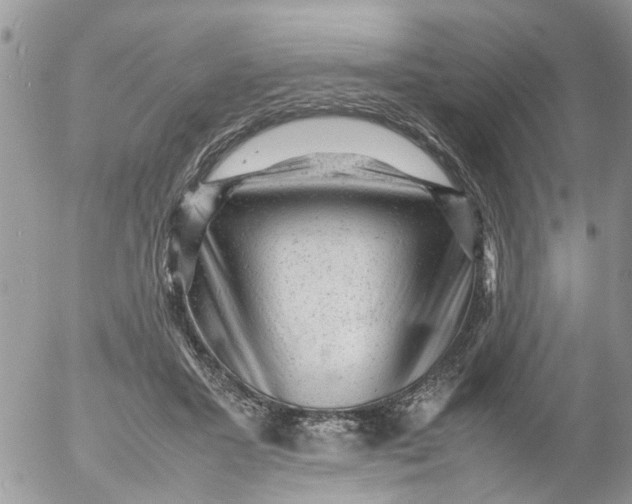 X0000053150407200508012315