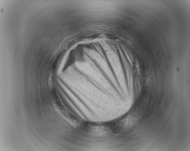 X0000053150408200508012315