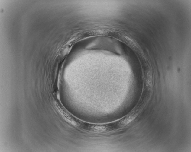 X0000053150409200508012315