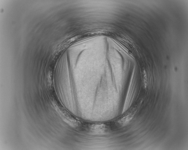 X0000053150410200508012315