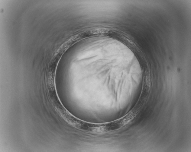 X0000053150411200508012315