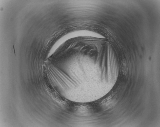 X0000053150412200508012315