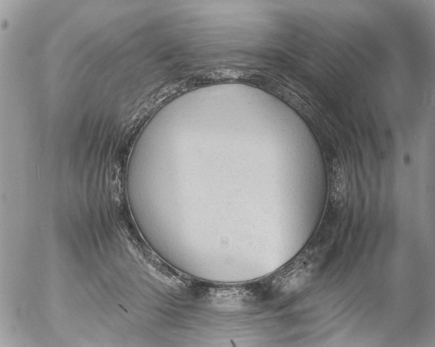 X0000053150414200508012315