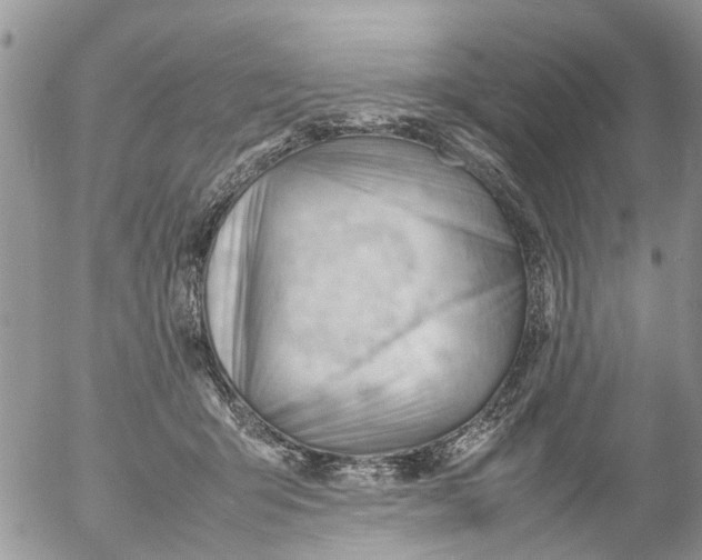 X0000053150415200508012315