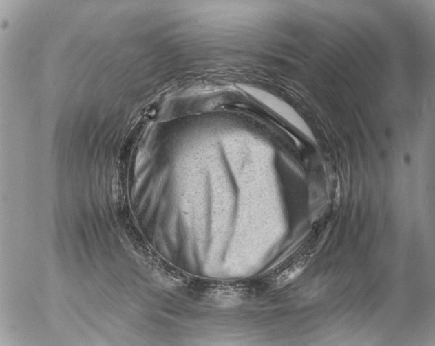 X0000053150416200508012315