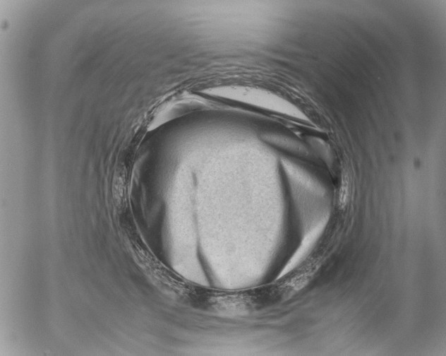 X0000053150417200508012315