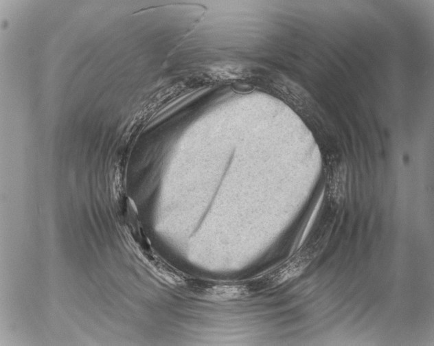 X0000053150418200508012315