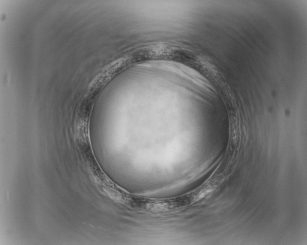 X0000053150419200508012315