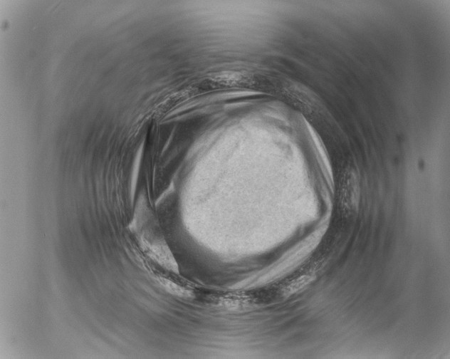 X0000053150420200508012315