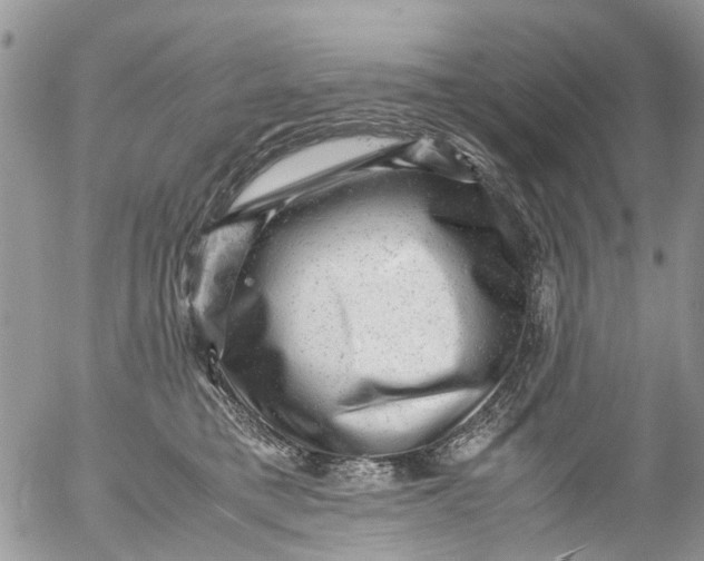 X0000053150421200508012315