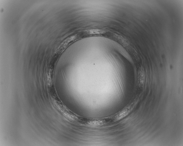 X0000053150422200508012315