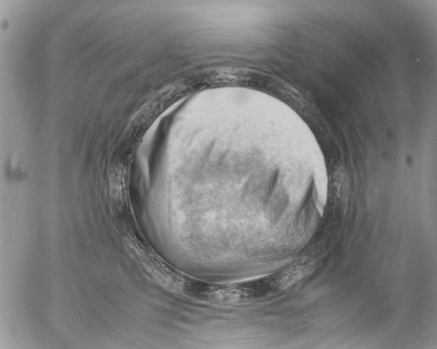 X0000053150423200508012315