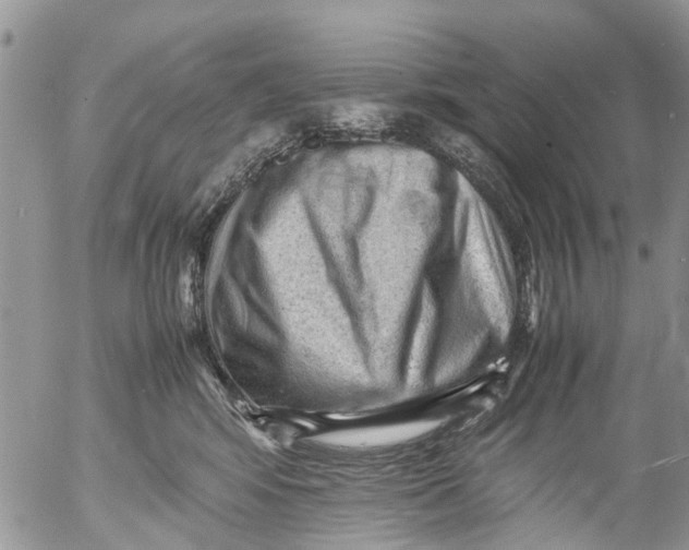 X0000053150424200508012315