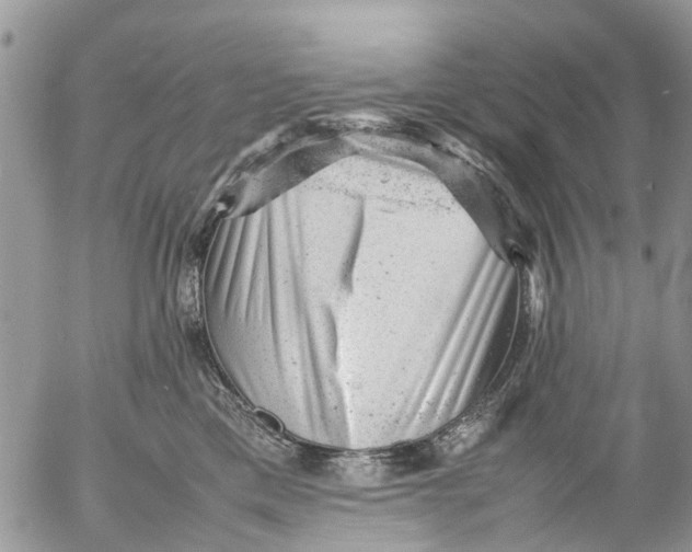 X0000053150425200508012315